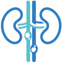 Renal Profile
